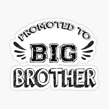 Check spelling or type a new query. Promoted To Big Brother Gifts Merchandise Redbubble