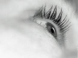 R&eacute;sultat de recherche d'images pour 