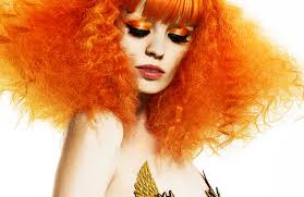 Royal Punk Sally Rogerson