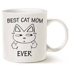 Funny Cat Mom Coffee Mug For Cat Lovers Best Cat Mom Ev Https Www Amazon Com Dp B072lt8s18 Cute Christmas Gifts Cat Christmas Gift Funny Christmas Gifts