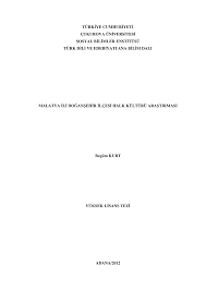 Https Library Cu Edu Tr Tezler 8659 Pdf