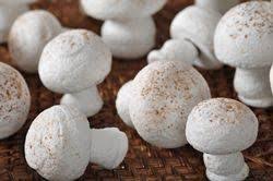Meringue Mushrooms Meringue Mushrooms Stuffed Mushrooms Mushroom Recipes