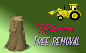 For all your sunshine coast tree removal needs you should call on qualified, experienced tree professionals to properly remove the tree. The 9 Best Options For Tree Removal In Melbourne 2021