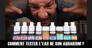 Comme expliqué plus haut, il existe un gaspillage d'eau très important dans le quotidien d'un foyer français. Comment Tester Les Parametres De L Eau De Son Aquarium