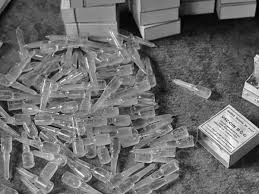 Tuberculosis (tb) is the world's leading infectious cause of death. How Century Old Tuberculosis Vaccine Could Fight Covid 19 Coronavirus Phillytrib Com