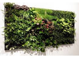 artificial wall plant