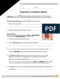 How does my digestive system work? Circulatorysystem Gizmo Heart Circulatory System