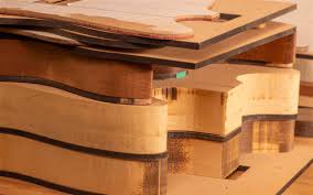 Image result for Agathis