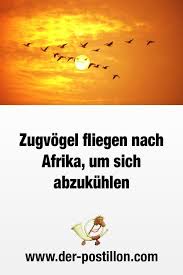 Verstandlich Postillon Hitze Hitzewelle Hitzerekord Zugvogel Afrika Afrika Lustig Lustige Spruche
