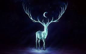 We hope you enjoy our growing collection of hd images to use as a. Fantasy Animal Wallpapers Hd For Desktop Backgrounds