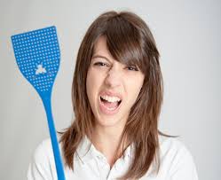 Find out where gnats come from and prevent them! How To Get Rid Of Gnats How To Kill Gnats In The House