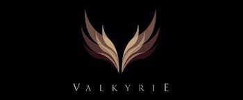Connect with them on dribbble; Valkyrie Manila Clubbing