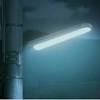 Old fashioned fluorescent tubes and low voltage. Https Encrypted Tbn0 Gstatic Com Images Q Tbn And9gcsxnqggltkh2zvxaehp3c8psgsfjhuj9vxp34hgfjfb5eqp3kme Usqp Cau
