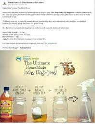 Homemade Anti Itch Dog Spray Dog Spray Itchy Dog Remedies Dog Remedies