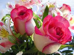 Find & download the most popular flower photos on freepik ✓ free for commercial use ✓ high quality images ✓ over 12 million stock photos. Pretty Flowers Images Free Download
