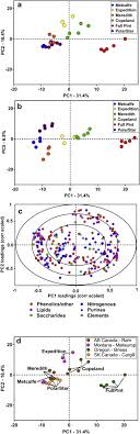 influence of malt source on beer chemistry flavor and