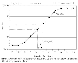2 on the basis of the life span of culture, the cell lines are categorized into two types: Https Www Atcc Org Media Resources Webinar Presentations 2017 Cell Culture 101 Pdf Rev 1f2bd8fe77824b61b4a07bb87b9281cd