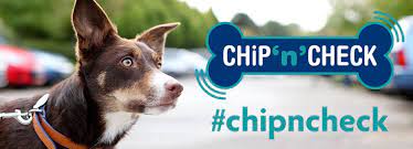 Register your pet's microchip number. Microchipping Your Pet How It Works Rspca