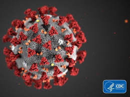 Ciri dan gejala anemia secara umum sudah banyak diketahui oleh orang namun tidak ada yang mengetahui ciri ciri anemia secara spesifik. Struktur Virus Sars Cov 2 Sebagai Penyebab Covid 19 Health Liputan6 Com