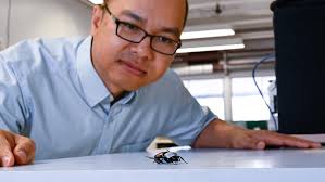 University of Queensland researcher reveals 'cyborg' insect technology