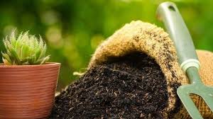 Best potting soil for indoor plants top 10 reviewed june 2, 2020 november 23, 2019 by david aaron. Best Potting Soil For Houseplants May 2021 Top 6 Picks