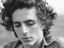 Timothée chalamet 'embarrassed' by kissing photos with. Timothee Chalamet On The Role Of The Artist In A Time Of Social Unrest And How