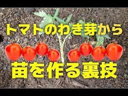 ボード ガーデニング のピン