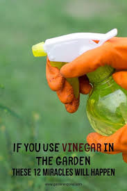 Hope Millan (hopemillan)