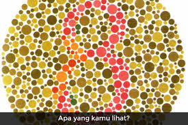 Sebab mungkin korang guna kabel untuk dapatkan lesen tu. Bisakah Kamu Menyelesaikan Tes Buta Warna Ini
