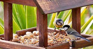 Graybunny deluxe clear window bird feeder. 9 Best Bird Tables Reviewed 2021