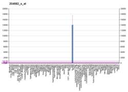 Prostate Specific Antigen Wikipedia