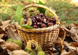 Alcuni ipotizzano che le castagne. Castagne Bollite O Caldarrosto Cum Grano Salis Il Blog Di Palatifini Itcum Grano Salis Il Blog Di Palatifini It