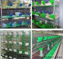 Lorenzo OEM Gaiola Kooi L92xw56xh66 Stainless Steel Cages Wholesale Rabbit  Hutch Dog Kennel Jaula Small Animal Cage