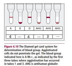 It always aims to develop and progress for its products. Laboratory Determination Of Blood Groups
