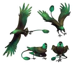 Birds That Start With A P The Beast Demands A Flesh Sacrifice Drawing My New Cinnamon Roll Bird Being Cute Fav Me Da1qa8y Cinnamon 2949 Fullbody 1 Coloured 2 Sh Bird Drawings