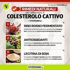 I batteri che compongono la flora in. Come Abbassare Il Colesterolo Cattivo Con Rimedi Naturali Efficaci