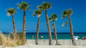 You can call at +33 4 68 21 01 33 or find more contact information. Plage Maillol Loisirs Et Activites Office De Tourisme De Saint Cyprien