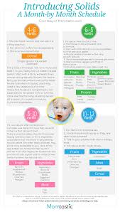 a month by month schedule for your baby baby solid food