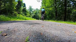 From growing hybrid flowers to if you buy something using links in our stories, we may earn a commission. Popular Nepa Bike Rides Discovernepa