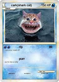 Find persian in the pokédex explore more cards persian. Cat Shark Pokemon Card