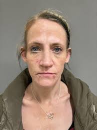 VANDERPOOL, APRIL MICHELLE Charges: VIOLATION OF PRE-TRIAL RELEASE  VIOLATION OF PRE-TRIAL RELEASE VIOLATION OF PRE-TRIAL RELEASE This  information and more is available https://apps.myocv.com/share/a95737804