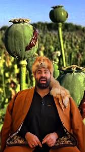 مضرات استفاده مواد در افغانستان