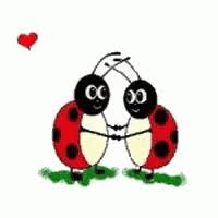 Bugs Lady Bugs GIF - Bugs LadyBugs Hearts - Descubre & Comparte GIFs