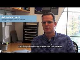 Researchers use genes as early warning system for harmful algae blooms