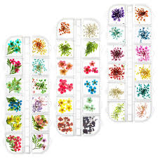 12 color nail art real dried dry flower set. Comius Sharp 3 Boxes Nail Dried Flowers Nail Art Real Dried Flower Set Real Natural Dried Flowers For Nail Art Three Dimensional Nail Flower With Green Leaves Natural Art Real Dried Flowers Set