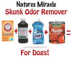 Instead, use a sponge or cloth to apply the solution directly to their fur. Homemade Skunk Odor Removal Recipe For Dogs Skunk Smell Natural Pet Remedies Pet Remedies