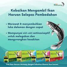 Beli ikan haruan online berkualitas dengan harga murah terbaru 2021 di tokopedia! Harwany Pati Ikan Haruan Asli 75ml X 6bottle