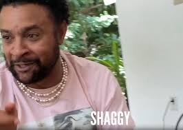 what our clients think