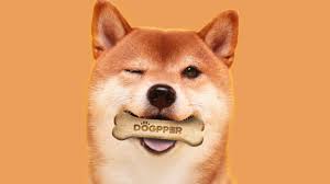 Contribute to papi's dogecoin stash! Burger King Starts Accepting Dogecoin In Brazil But Only For Dog Treats Technology News