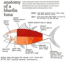 Pin On Cuts Of Meat Diagrams